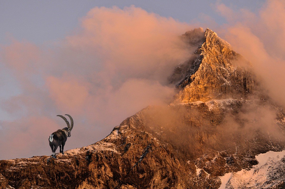 affiche - Explo - Les Alpes