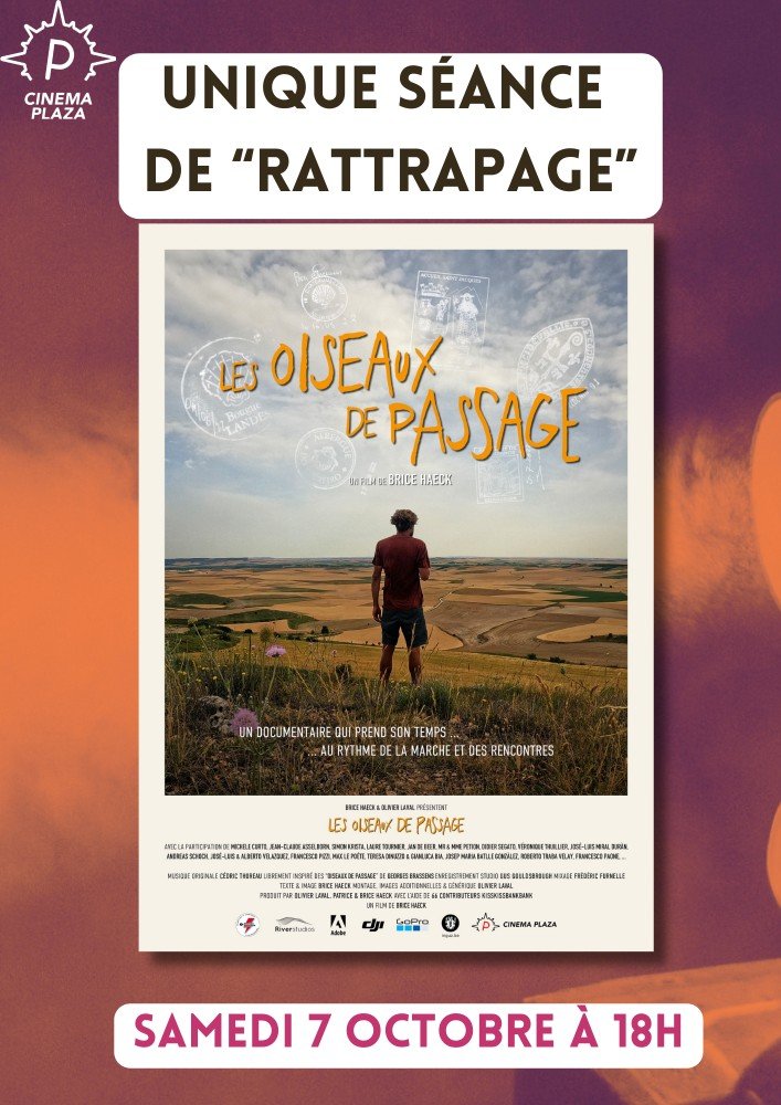 affiche - Les oiseaux de passages - séance 